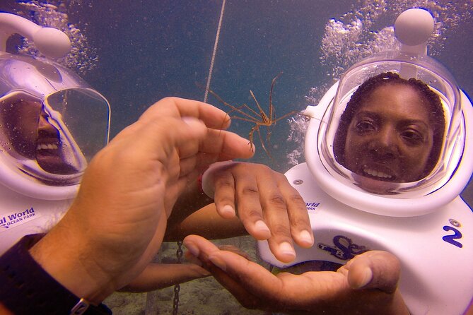 Sea Trek Helmet Dive at Coral World Ocean Park - Overview of the Experience