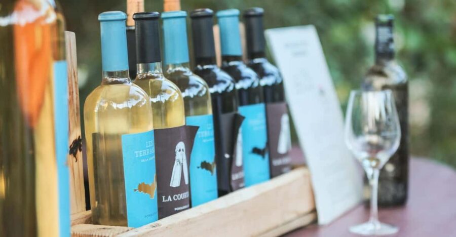 SEA YOU ESCAPE: Oenological Excursion to Porquerolles ☼ - Booking Information