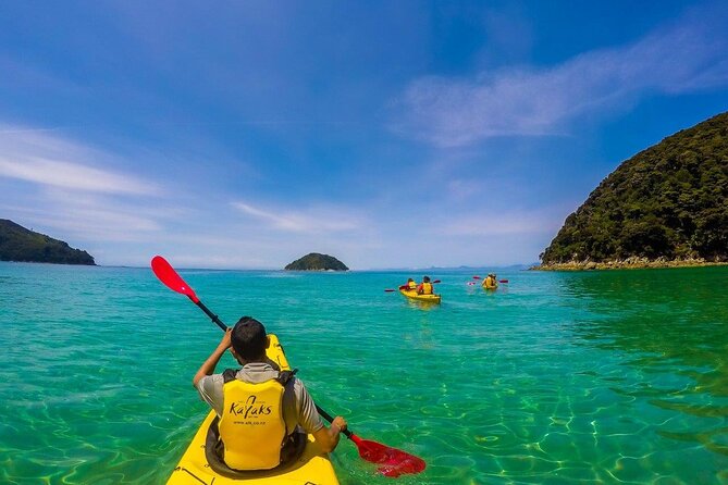 5 Best Guided Tours In Marahau