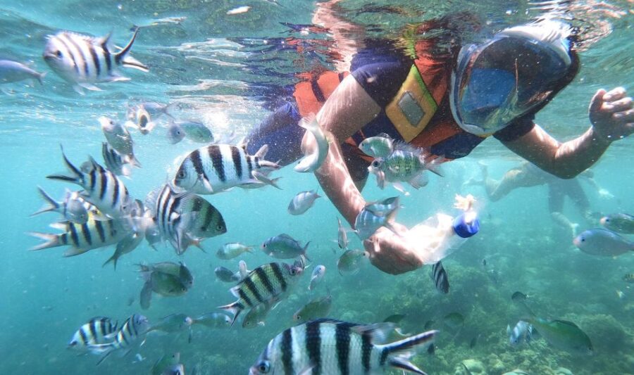 Secret Gili Private Snorkeling Boat Trip - Tour Overview
