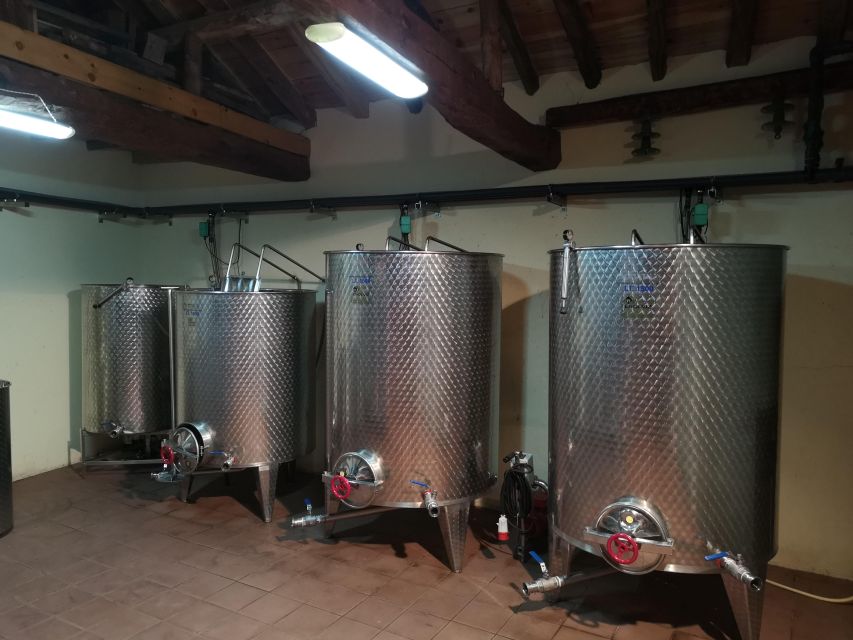 Segovia: Winery Tour With Wine Tasting