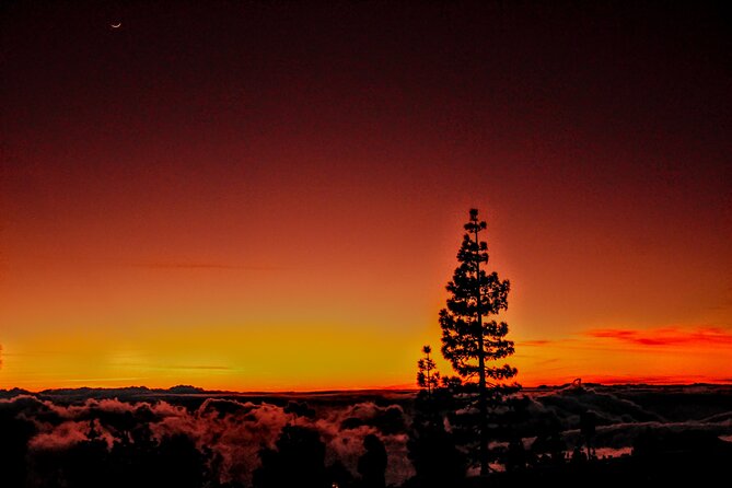 Self Driving Sunset Tour With Dinner and Stargazing in Tenerife