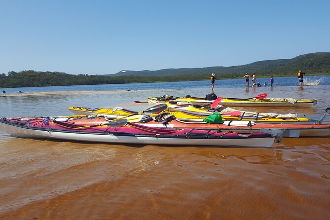 Self-Guided Noosa Everglades Kayak Tour