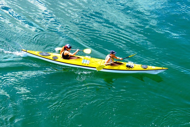 Self-Guided Sydney Middle Harbour Kayak 3 Hour Tour by Double Kayak - Tour Overview