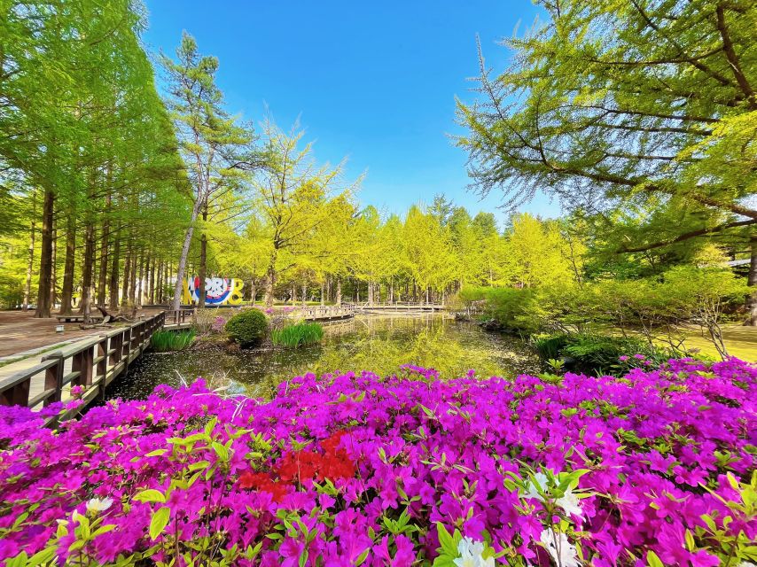 Seoul: Alpaca Land, Nami Tour (Optional Gangchon Railbike)