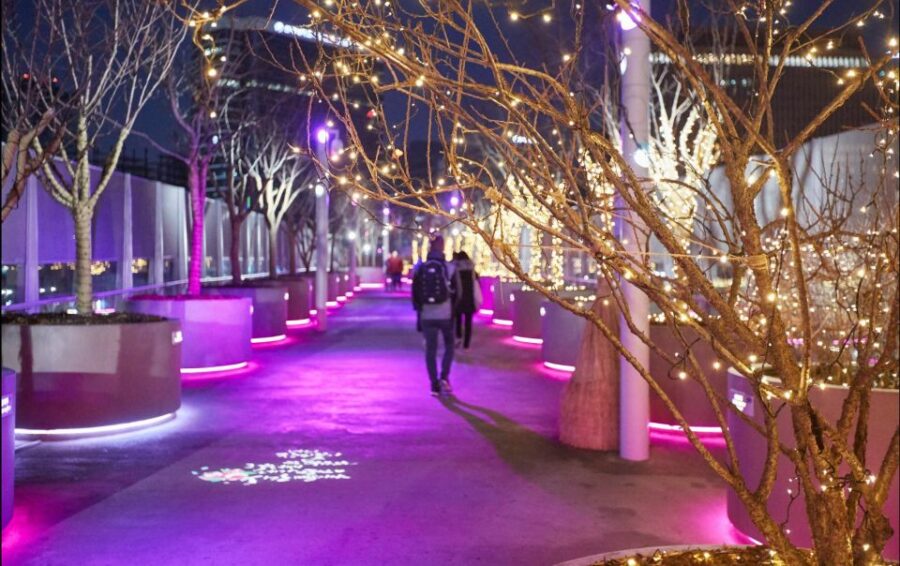 Seoul: Night Tour to Deoksugung Palace and Sevit Seom - Banpo Bridge Rainbow Fountain