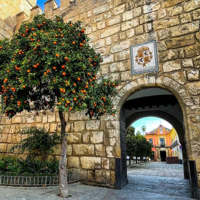 4 Best Tours In Alcazar Of Seville