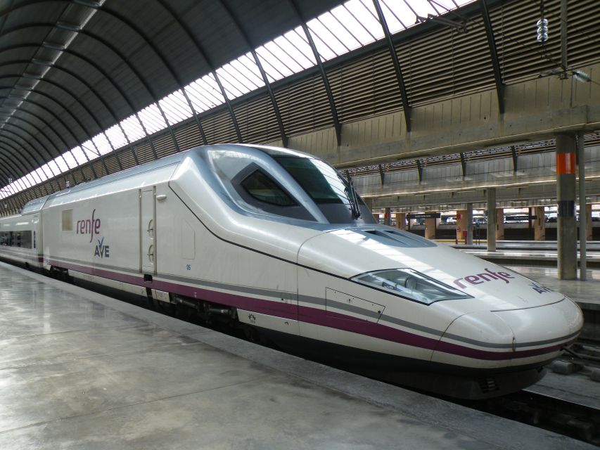 Seville: Transfer to Santa Justa Train Station