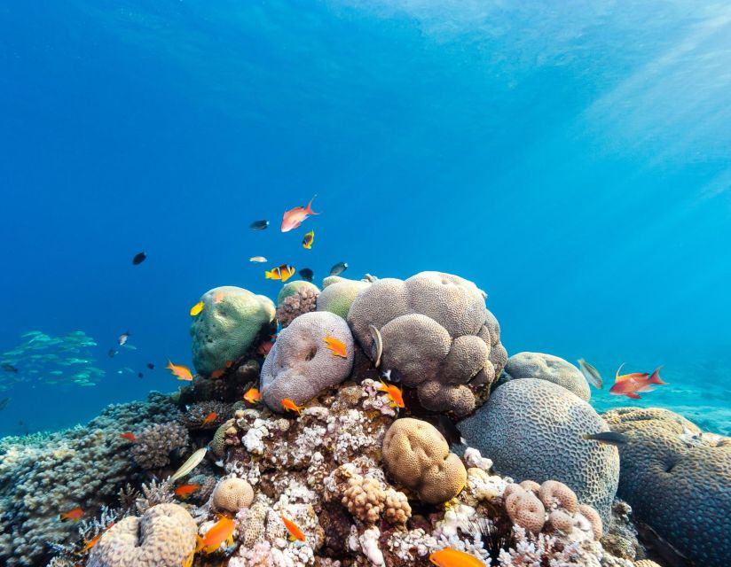 Sharm: 2-Days Dahab, Canyon, Safari, Snorkel W Camp Stay