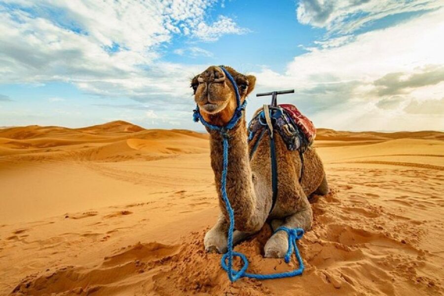 Sharm El Sheikh: Afternoon ATV Quad Tour With Echo Mountains
