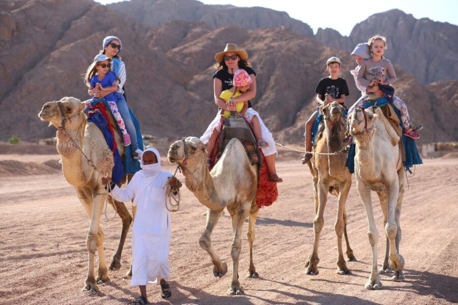 Sharm El Sheikh: Dune Buggy and Horse/Camel Trip With Meal