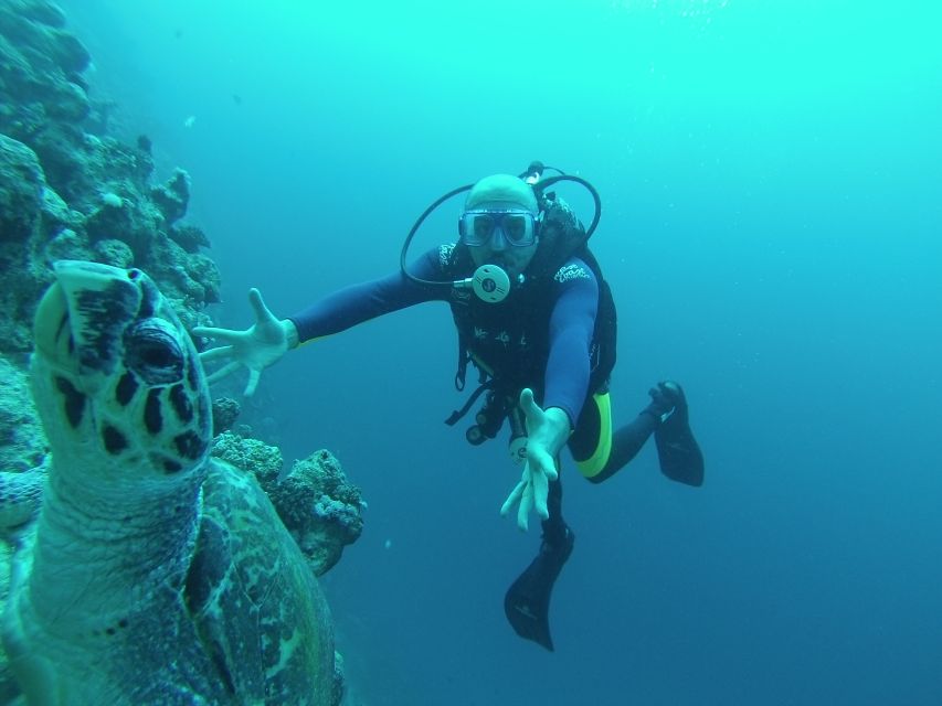 Sharm El Sheikh: Ras Mohamed, White Island, Snorkel & Diving - Activity Overview