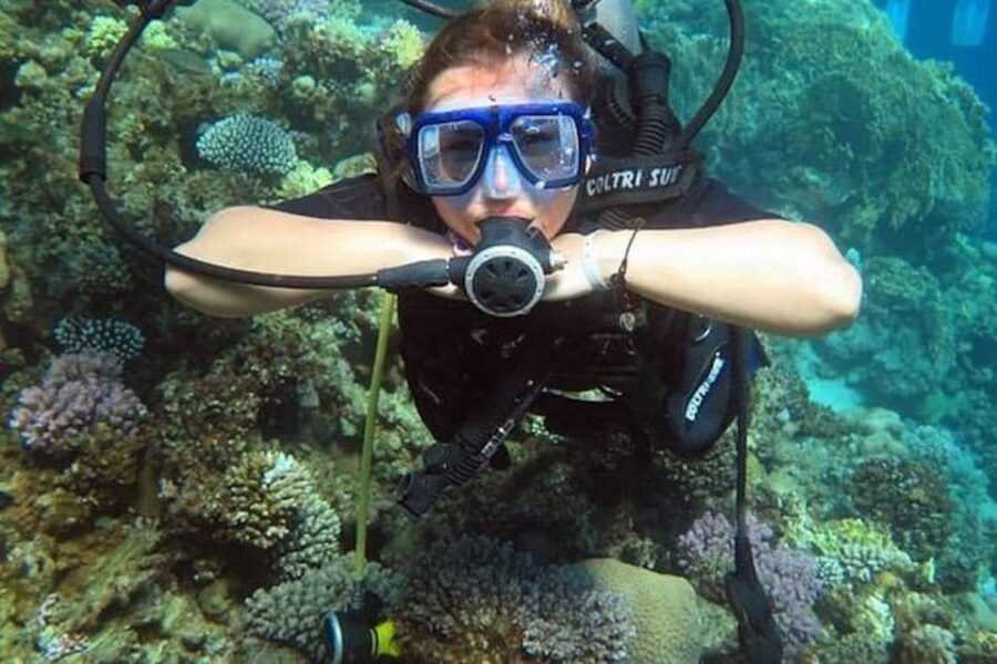 Sharm El Sheikh: Ras Mohamed, White Island, Snorkel & Diving - Activity and Duration