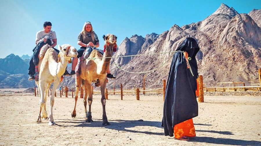Sharm El Sheikh: Sunrise Buggy Adventure and Bedouin Tent - Activity Overview