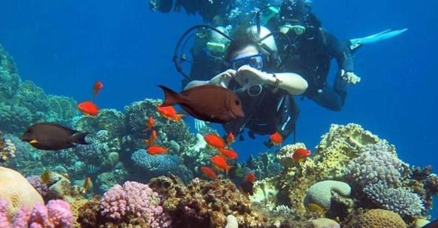 2 Best Bike Tours In Dahab