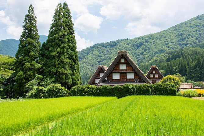 Shirakawago & Gokayama Ainokura Tour - World Heritage Villages - Tour Overview