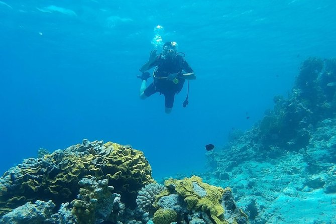 Shore Discover SCUBA Diving/Introductory Diving – One Dive