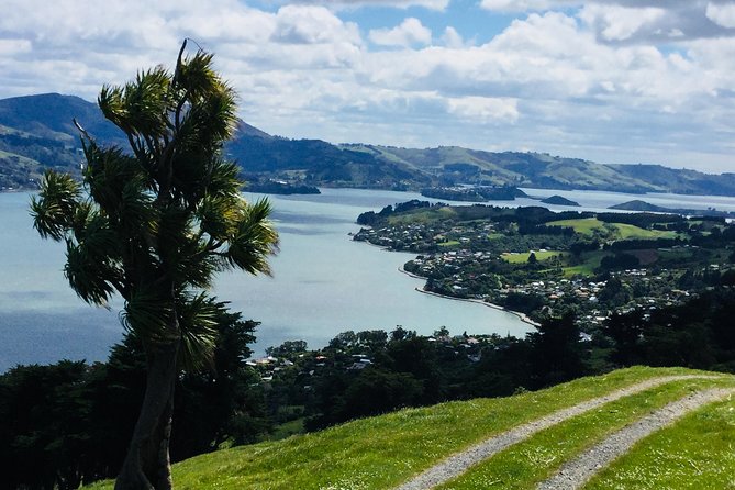Shore Excursion: Dunedin City, Otago Peninsula, Castle Gardens & Olveston Tour - Tour Overview and Highlights