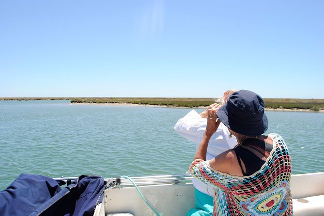 Short Boat Trip of the Algarves Ria Formosa Lagoon From Faro: 1 Hour - Tour Overview