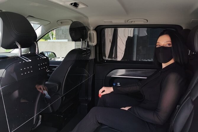 Shuttle Transfer Arrivals: Madrid Airport to City Center - Overview of Shuttle Transfer Service