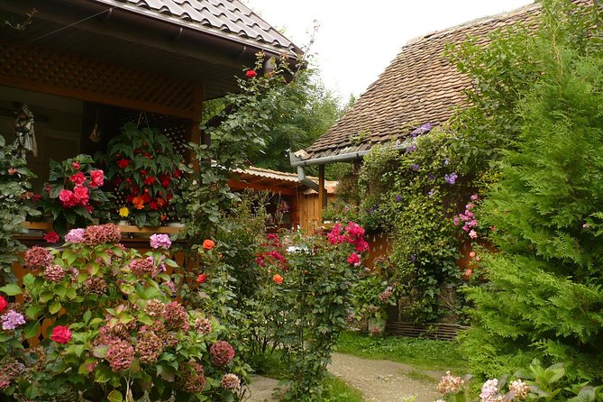 Sibiu Day Trip From Brasov