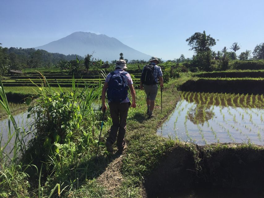Sidemen/Bali: Rular Scene of Sidemen Trekking - Overview of Sidemen Trekking