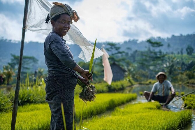 Sidemen Trekking: a Walk From Different Perspective - Overview and Details