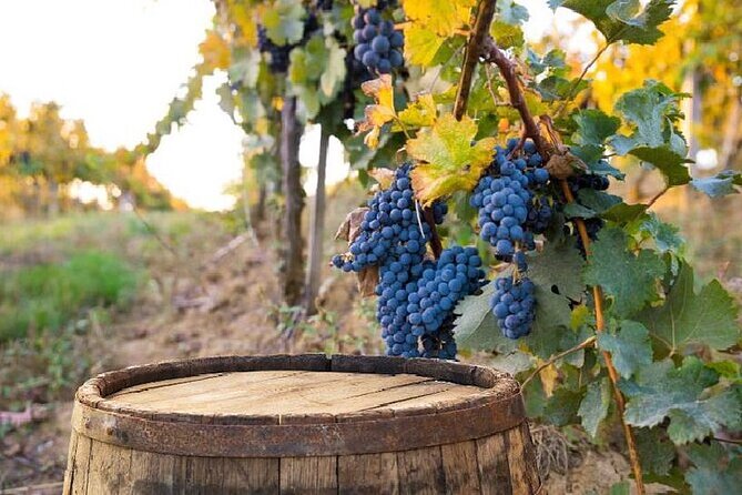 Siena, San Gimignano & Chianti Full Day Trip + Wine Tastings - Overview of the Tour