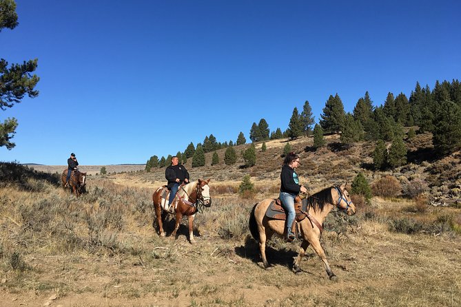 Sierra Histroric Tour & Horseback Riding From Reno