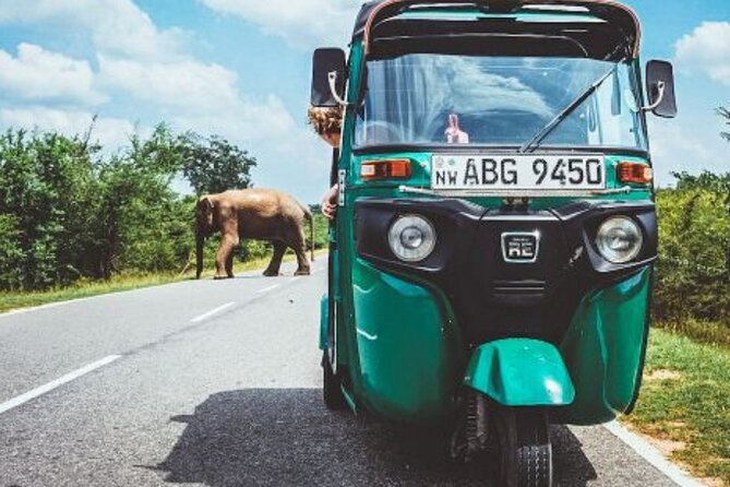 Sigiriya and Dambulla Day Trip by Tuk-Tuk / Car From Sigiriya - Tour Overview