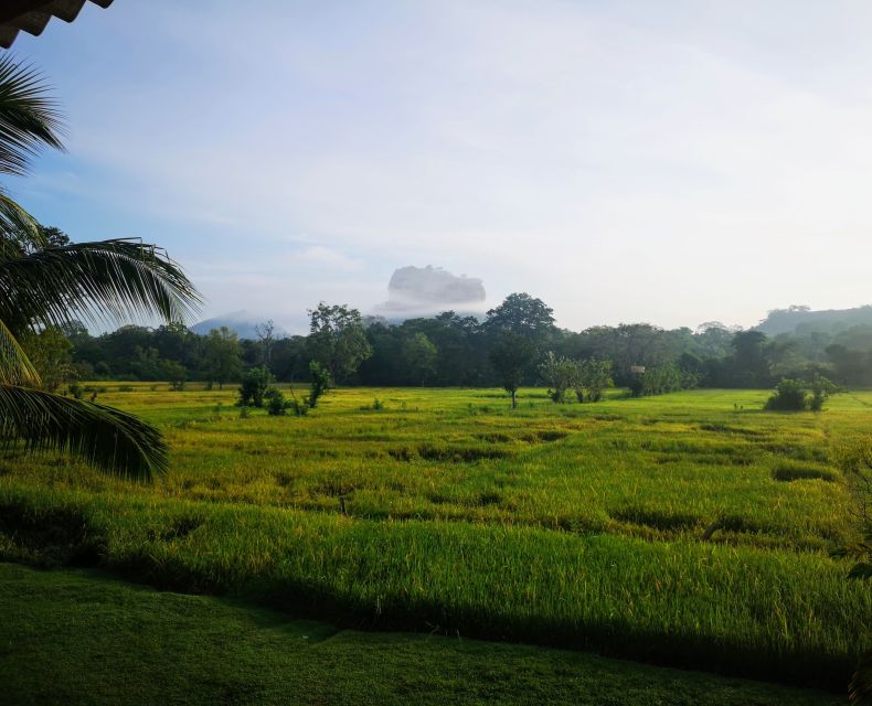 Sigiriya: Guided Bird Watching and Jungle Tour With Lunch