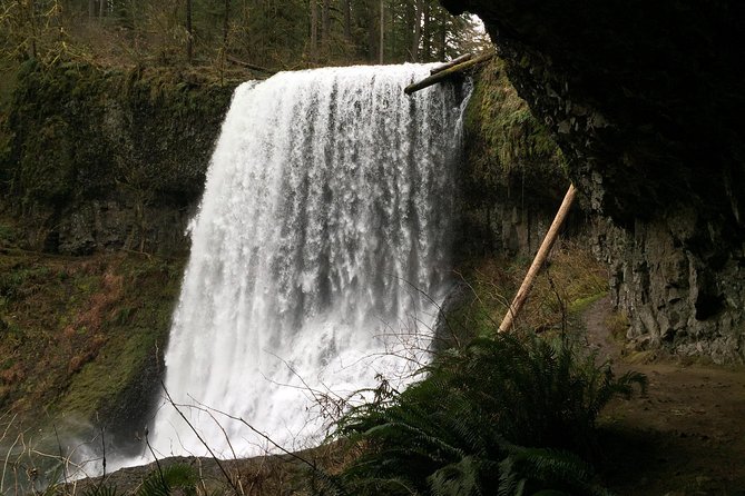 Silver Falls Hike - Tour Overview