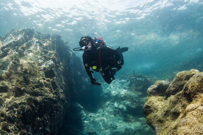 Single Scuba Try-Dive in Puerto Del Carmen - Small Groups - 2 Hours - Inclusions