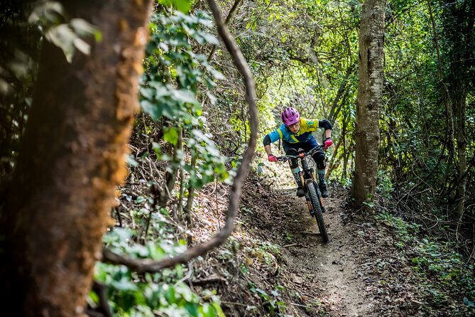 SINGLETRACK MOUNTAIN BIKE - Guided Through the Jungle