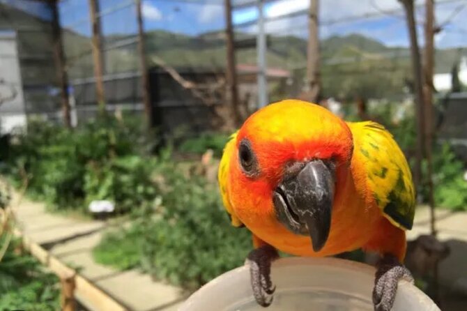 Sint Maarten Island Private Tours