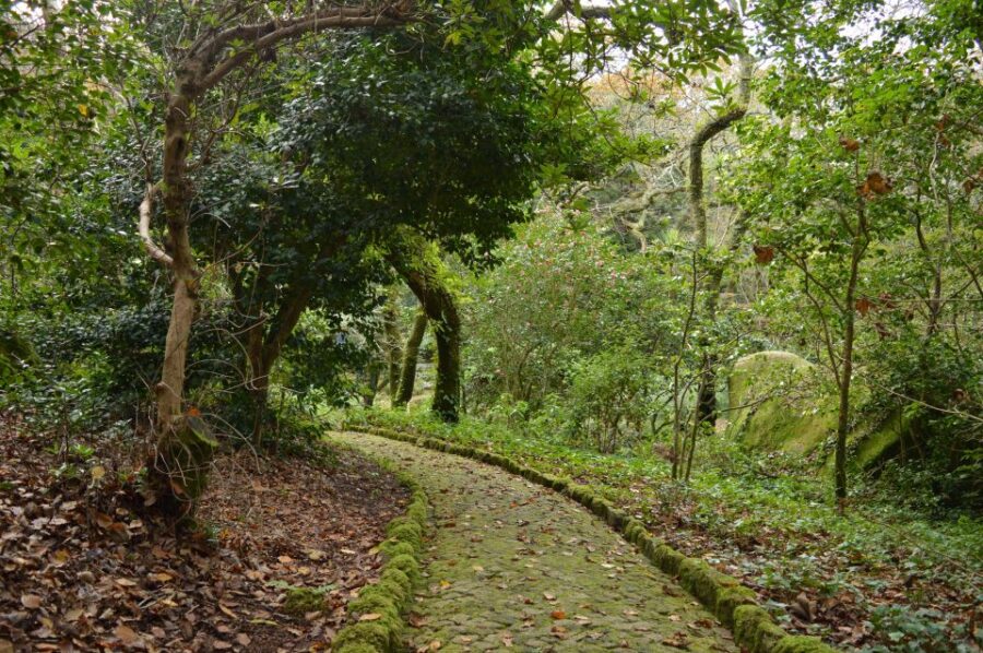 Sintra: Hike & History Private Tour Incl. Pena & Regaleira - Tour Overview and Pricing