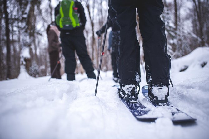 Skiing (Hok Ski) Excursion in Jacques-Cartier National Park - Overview of Ski-shoeing Adventure
