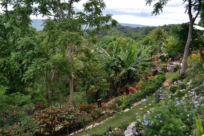 Skip the Line: Ahhh Ras Natango Gallery and Garden Admission Tickets - Admission and Pricing