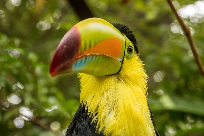Skip the Line: Diamante Eco Adventure Park: Animal Sanctuary Discovery Ticket - Diverse Animal Collection and Sanctuary