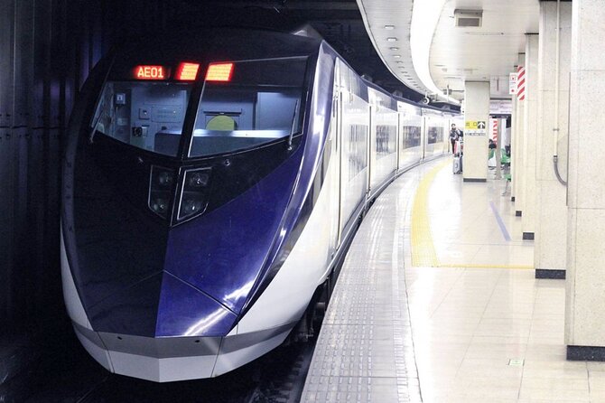 Skyliner Discount Ticket Narita Airport to Tokyo Downtown - Overview of the Skyliner Discount Ticket
