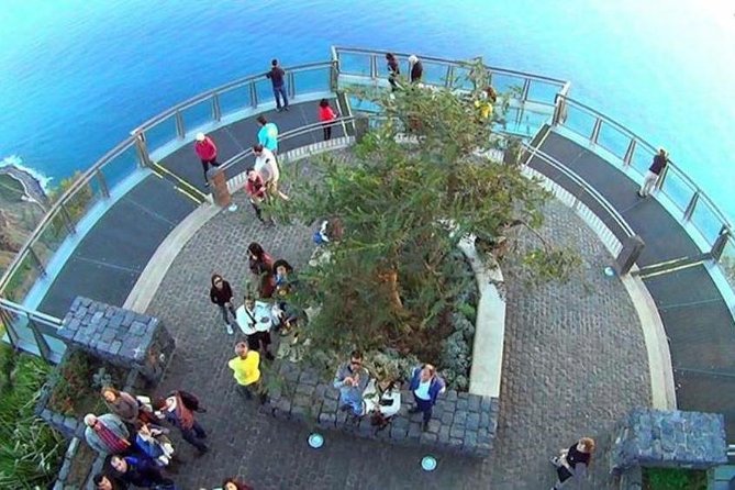 Skywalk, Madeira Wines Tasting and Vineyards 4x4 Experience