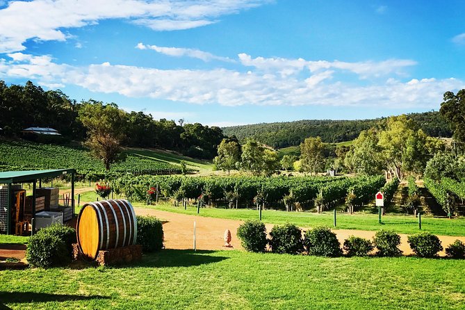 Small-Group Bickley Valley Wine Tour - Tour Overview