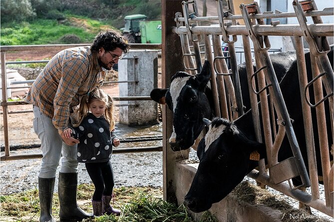 Small Group Cheese Making and Tasting From the Island of Baleares - Tour of the Farm