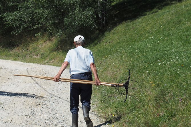 Small-Group Day Trip in Romanian Authentic Mountain Villages From Brasov - Exploring Piatra Craiului National Park