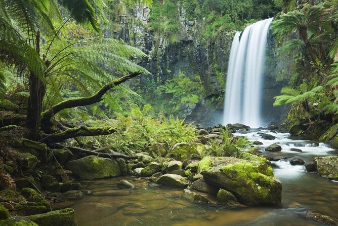 Small-Group Great Ocean Road Day Trip From Melbourne - Itinerary Highlights
