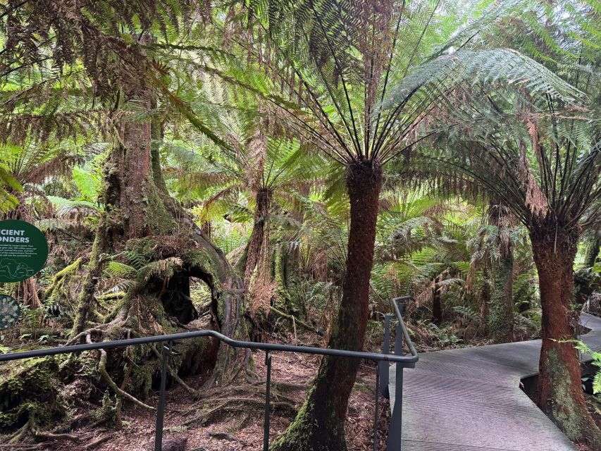 Small Group Great Ocean Road Reverse Trip Breakfast Incl.
