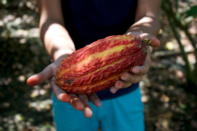 Small Group Guayaquil and Cocoa Farm Full-Day Tour - Tour Highlights