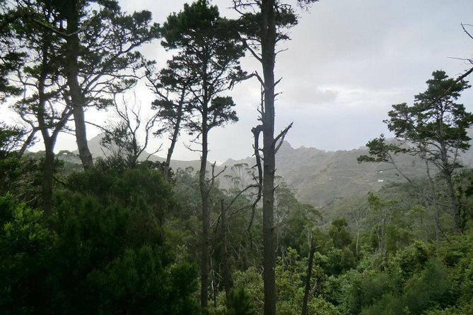 Small Group Guided Hiking in Anaga Rural Park in Tenerife