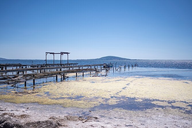 Small-Group Half-Day Languedoc Wine and Oyster Tour From Montpellier