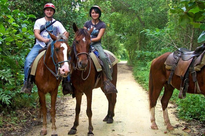 Small Group: Half Day Punta Cana Cultural Tour - Tour Overview